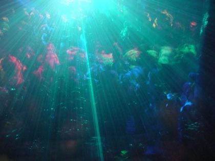 System 6 party photo, Brisbane